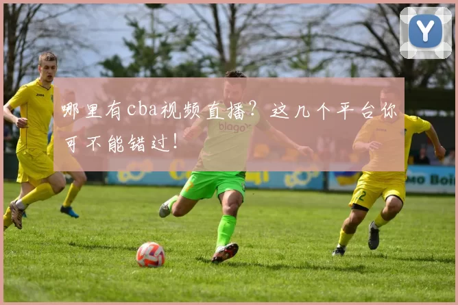 哪里有cba视频直播？这几个平台你可不能错过！