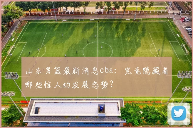 山东男篮最新消息cba:究竟隐藏着哪些惊人的发展态势?
