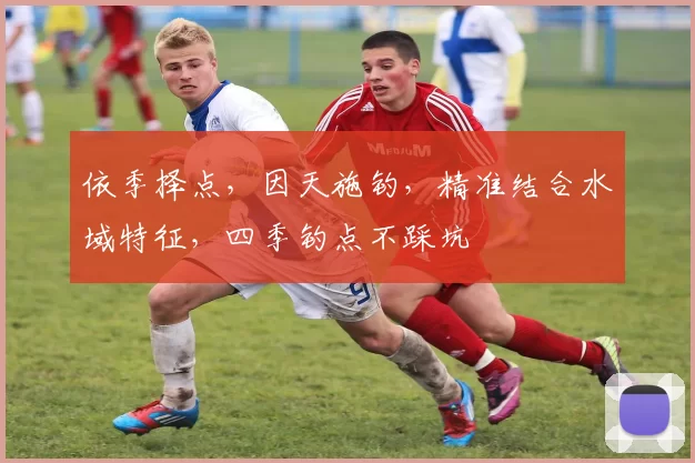 依季择点，因天施钓，精准结合水域特征，四季钓点不踩坑