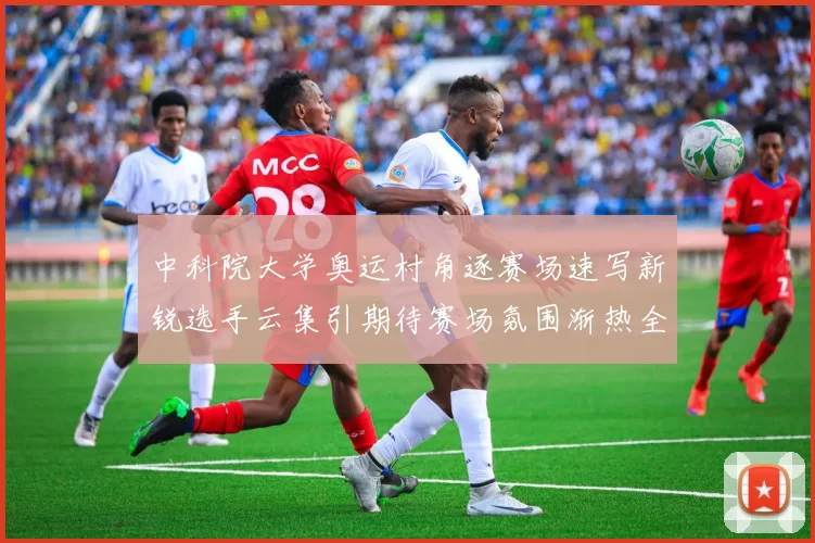 中科院大学奥运村角逐赛场速写新锐选手云集引期待赛场氛围渐热全力备战向金牌